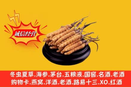 佛山顺德区名酒回收冬虫夏草.jpg
